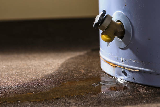 Best Water damage restoration company  in Brandermill, VA