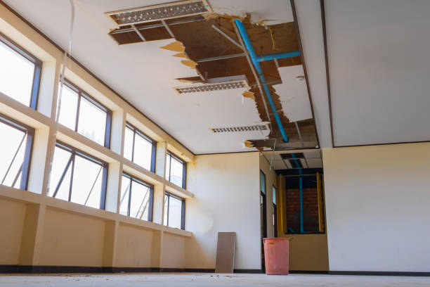 Reliable Brandermill, VA Water damage restoration Solutions