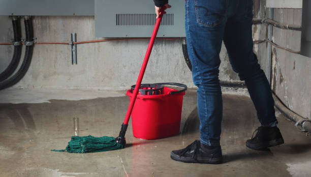 Best 24/7 water damage repair  in Brandermill, VA