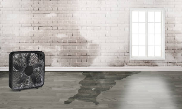 Best Sewage cleanup and water damage restoration  in Brandermill, VA