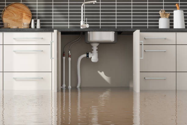 Carpet water damage restoration in Brandermill, VA