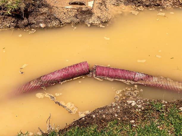Best Flood restoration services  in Brandermill, VA